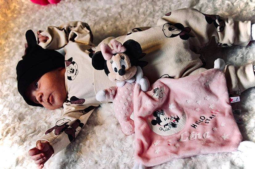 Léna a rejoint le concours — aidez-le/la à gagner de superbes lots ! canidae, carnivore, companion_dog, dog, dog_breed, facial_expression, fawn, felidae, fun, fur, happy, headwear, linens, mammal, person, pink, plush, skin, stuffed_toy, sunglasses