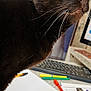 cat, black_cat, close_up, green_eyes, whiskers, desk, keyboard, notebook, pen, writing, indoor, curious, alert, feline, office, workspace, paper, stationery, technology, computer