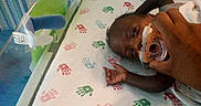 Damarion Gooden joined the competition — help win amazing prizes! baby, bed, blanket, care, child, comfort, crib, curtain, hand, handprint_pattern, healthcare, hospital, infant, lying_down, medical, newborn, pacifier, person, resting, room