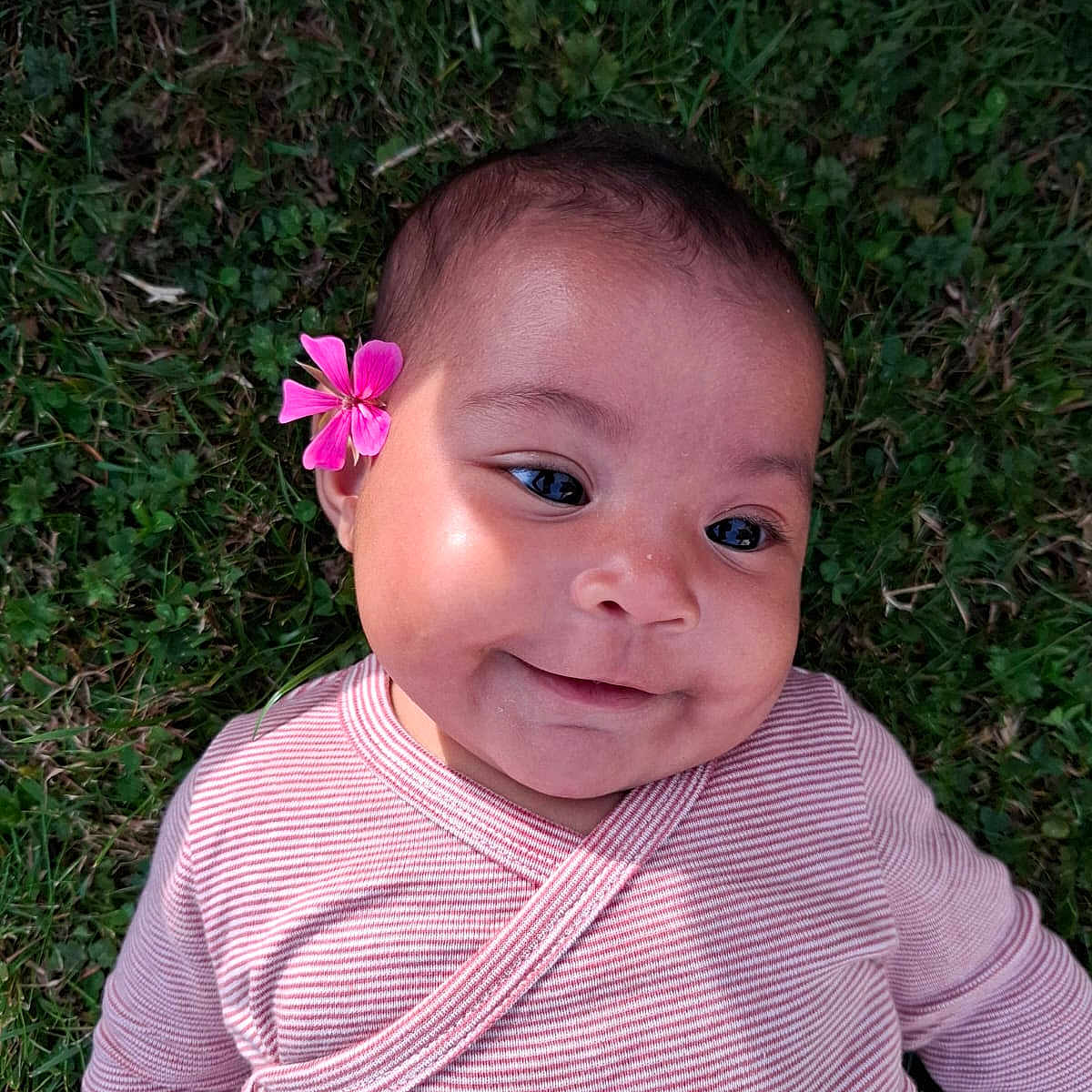 Milaya a rejoint le concours — aidez-le/la à gagner de superbes lots ! baby, child, closeup, cute, face, flower, grass, happy, head, infant, laying_down, nature, outdoor, person, pink, portrait, skin, smiling, striped_clothing, young_child