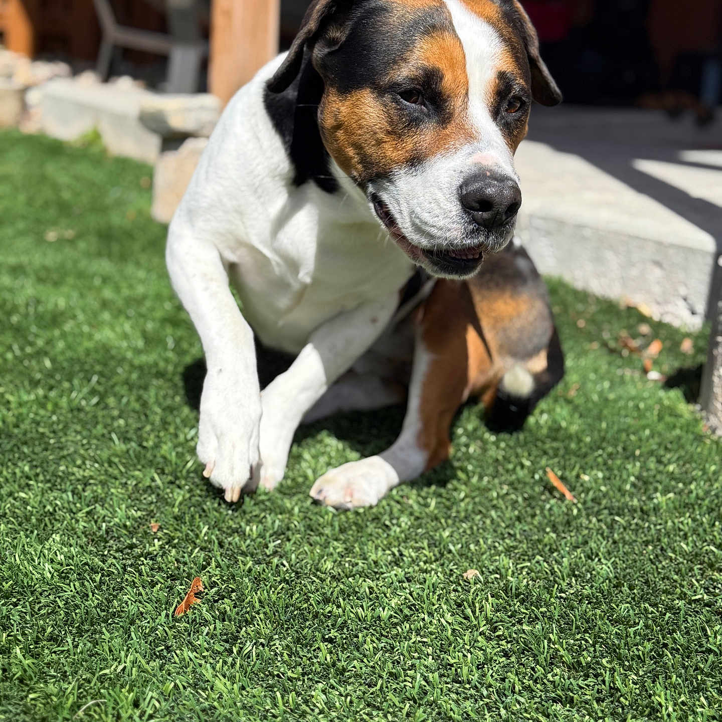 Mortimer