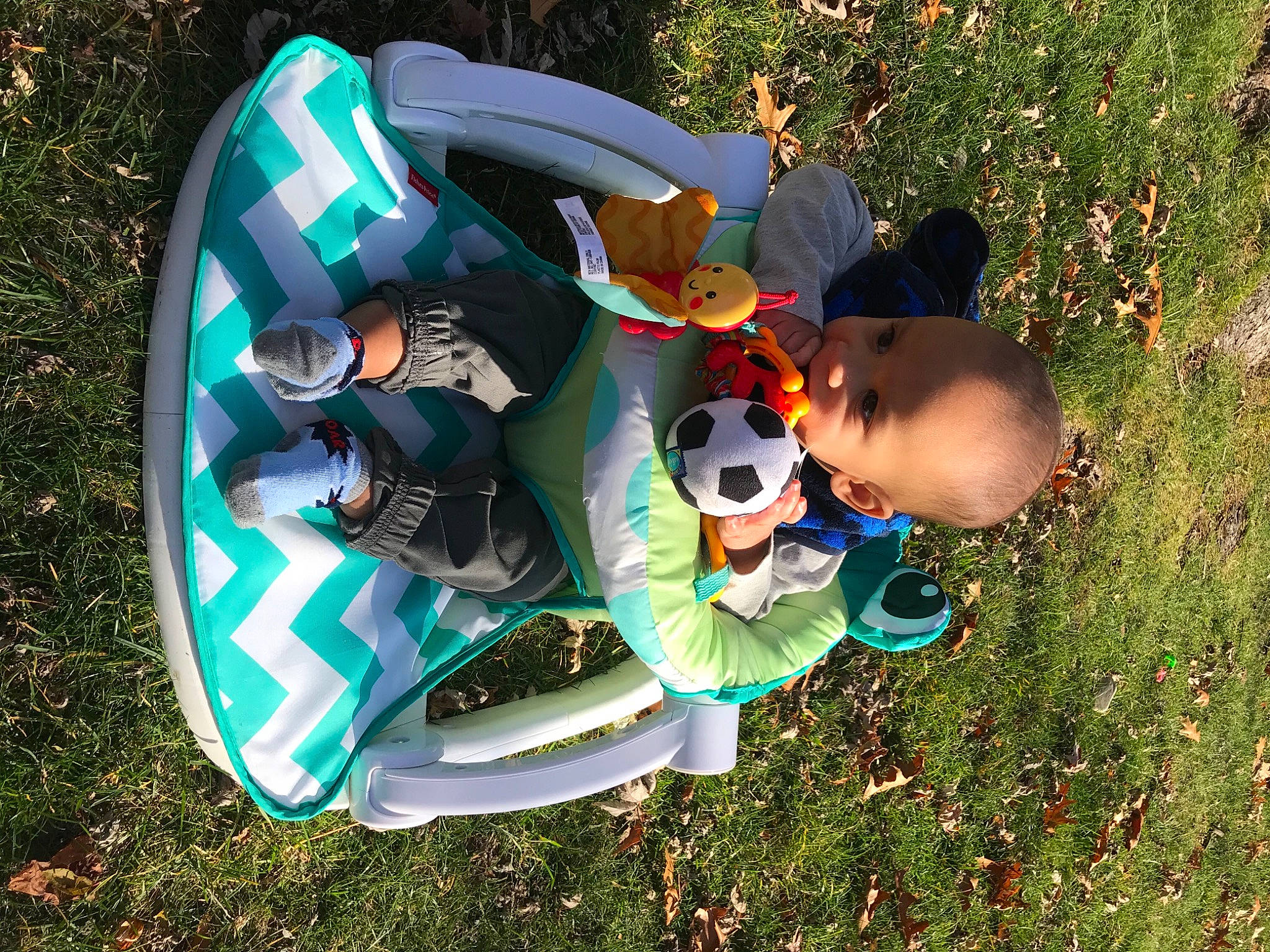 Jadyn joined the competition — help win amazing prizes! child, fawn, fun, grass, person, photography, play, toddler