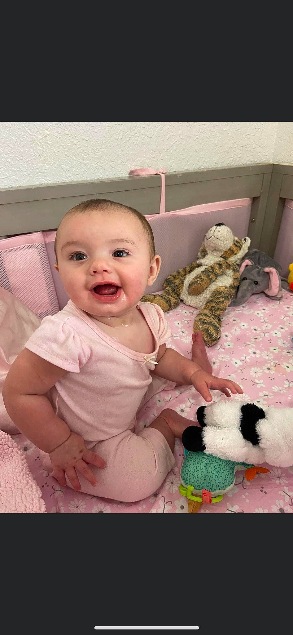 Raelynn is registered to the contest to win money with this photo: baby, baby_toddler_clothing, ball, child, comfort, companion_dog, dog_breed, fun, fur, happy, head, joy, pattern, person, pink, plush, room, sitting, smile, toddler