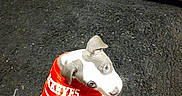 Skyler joined the competition — help win amazing prizes! puppy, dog, jersey, red_clothing, carpet, indoor, wooden_cabinets, pet, cute, looking_up, young_dog, floor, domestic_animal, small_dog, canine, animal, clothing, text_on_clothing, sports_jersey, black_carpet