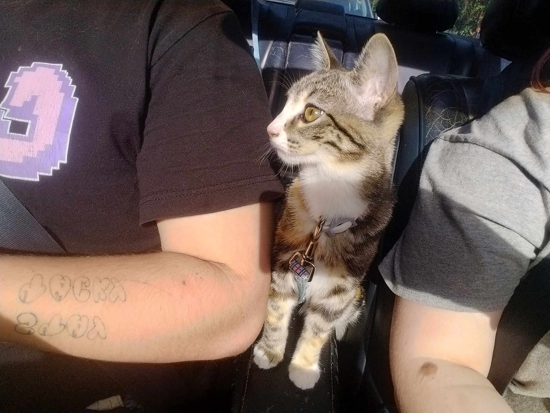 Binx