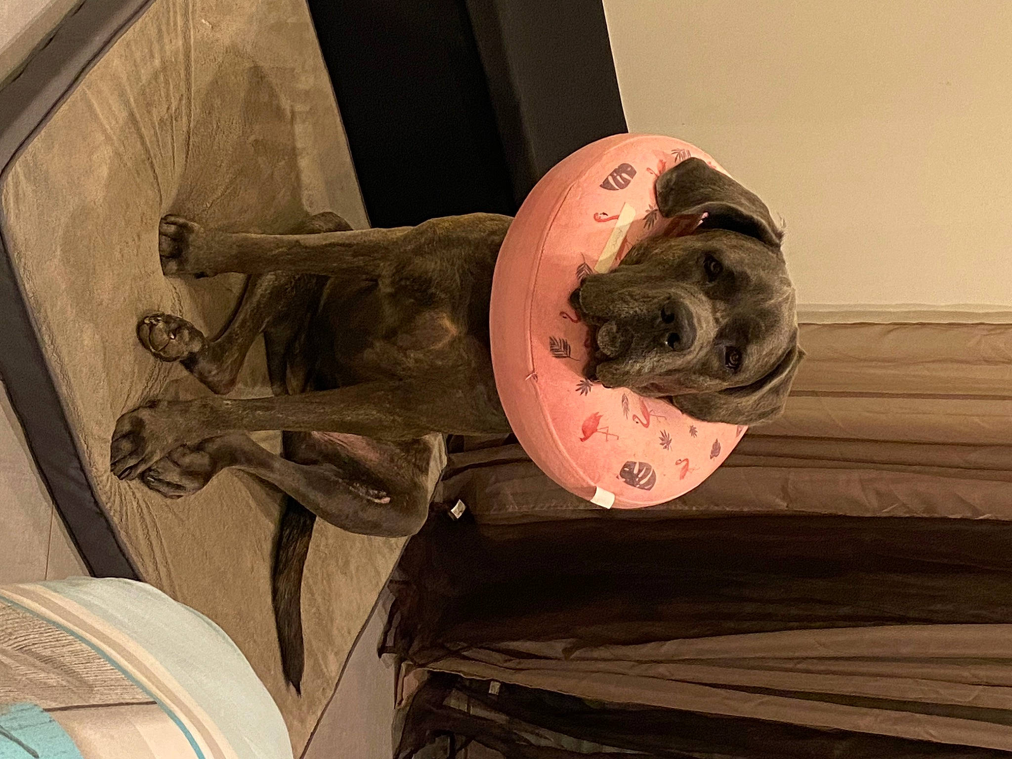 Royce participe au concours pour gagner de l'argent avec cette photo : art, artifact, auto_part, automotive_exterior, automotive_wheel_system, carving, door_handle, hat, helmet, metal, monument, room, sculpture, statue, vehicle_door, visual_arts, wood