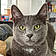 Chubby