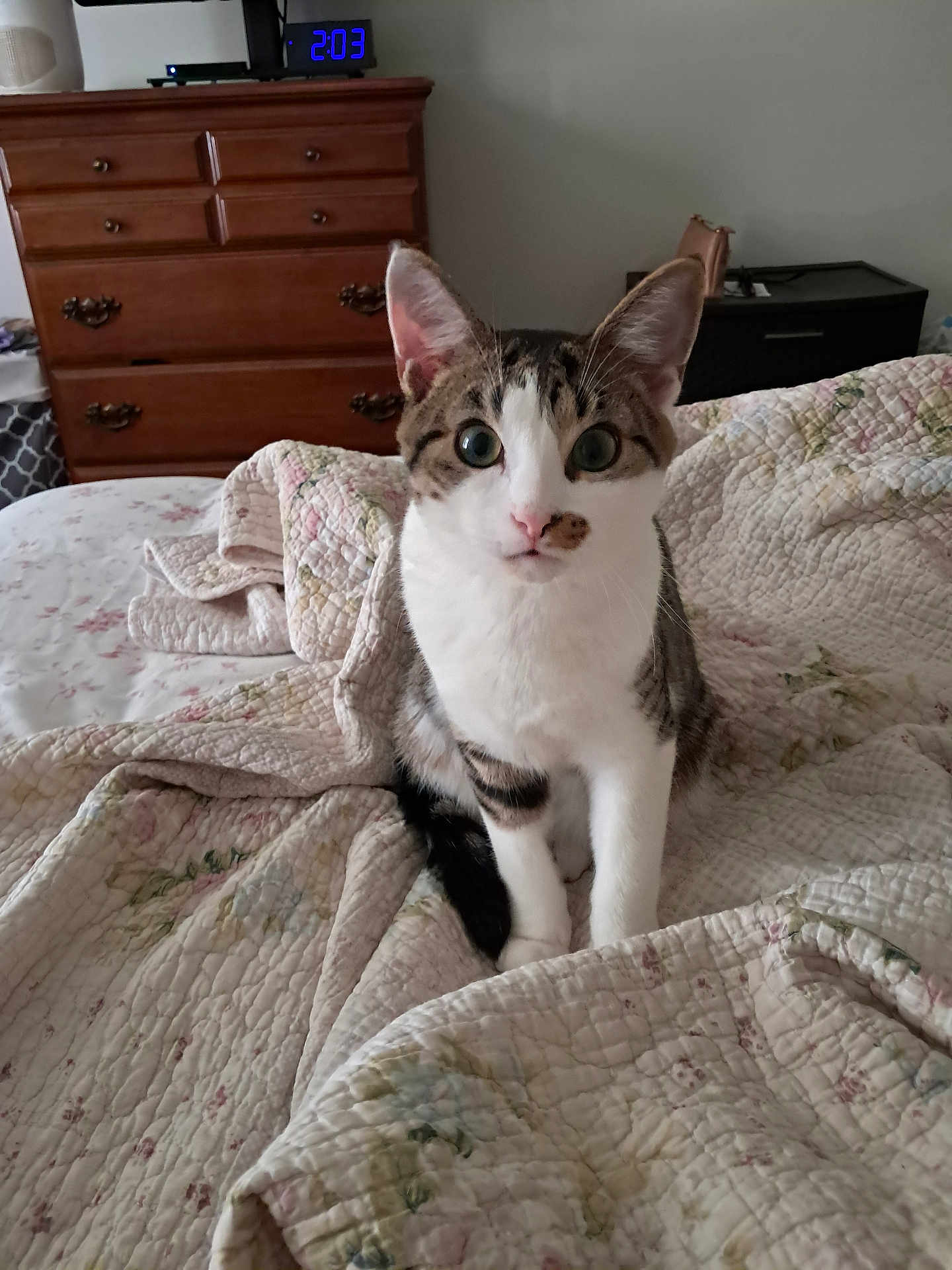 Stinker
