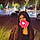 Allisson R.