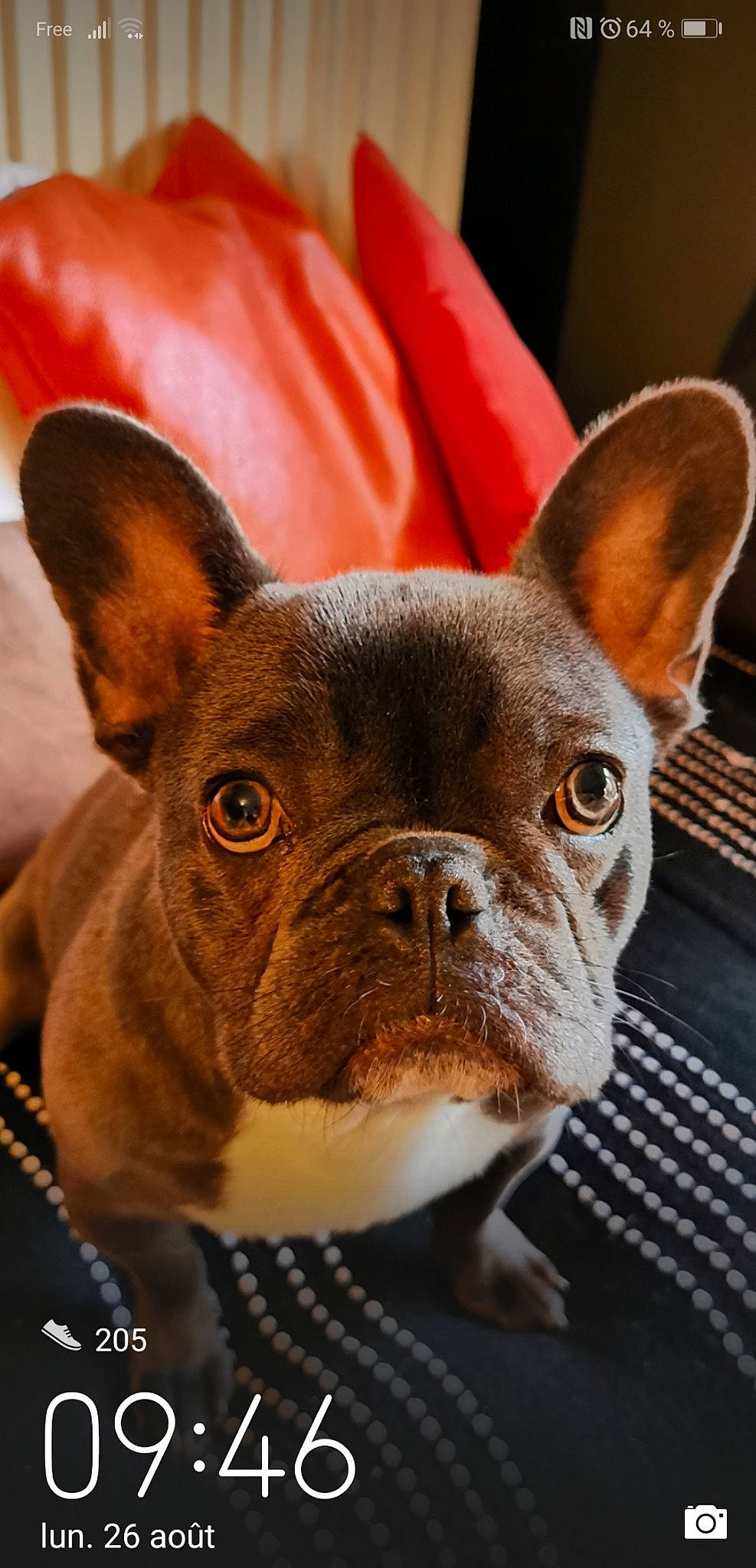 Charly a rejoint le concours — aidez-le/la à gagner de superbes lots !