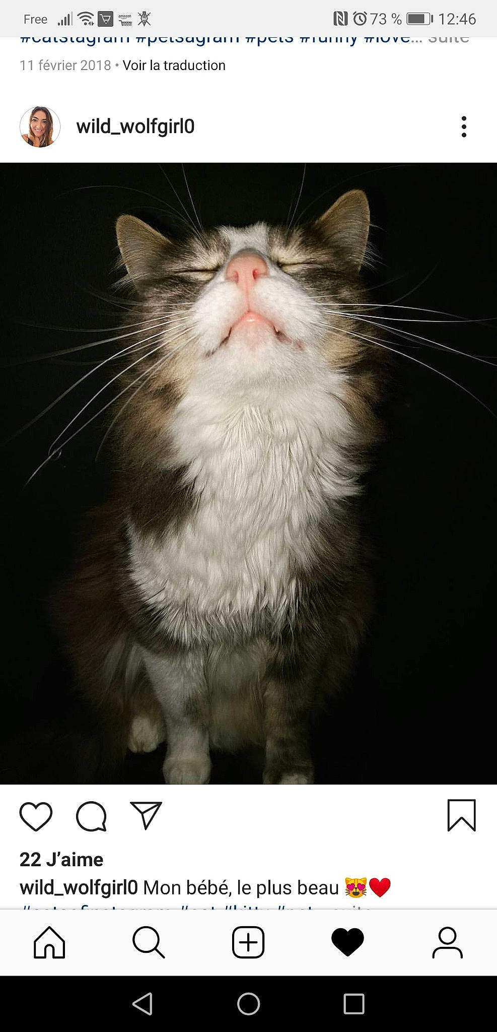 Fripouille participe au concours pour gagner de l'argent avec cette photo :