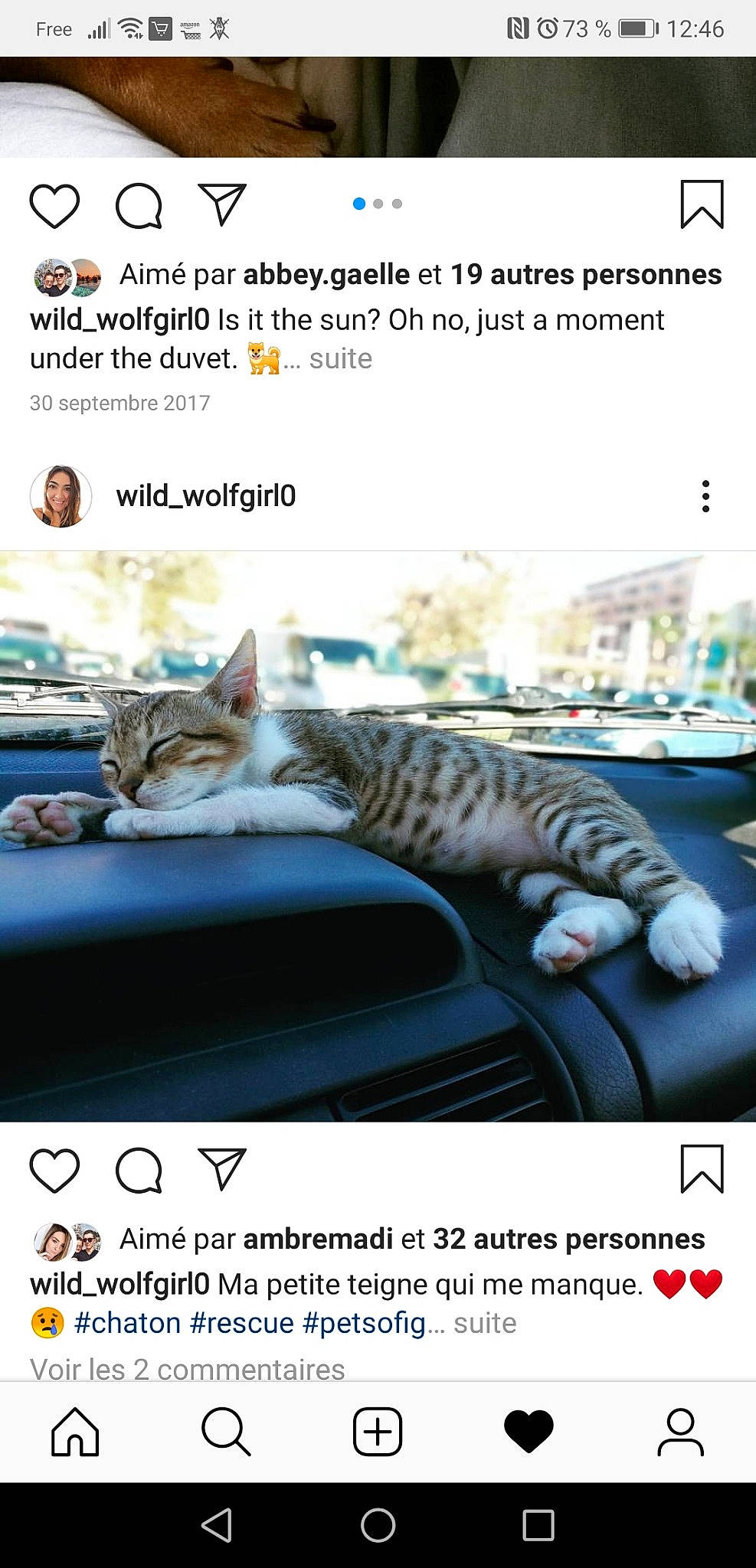 Fripouille participe au concours pour gagner de l'argent avec cette photo :