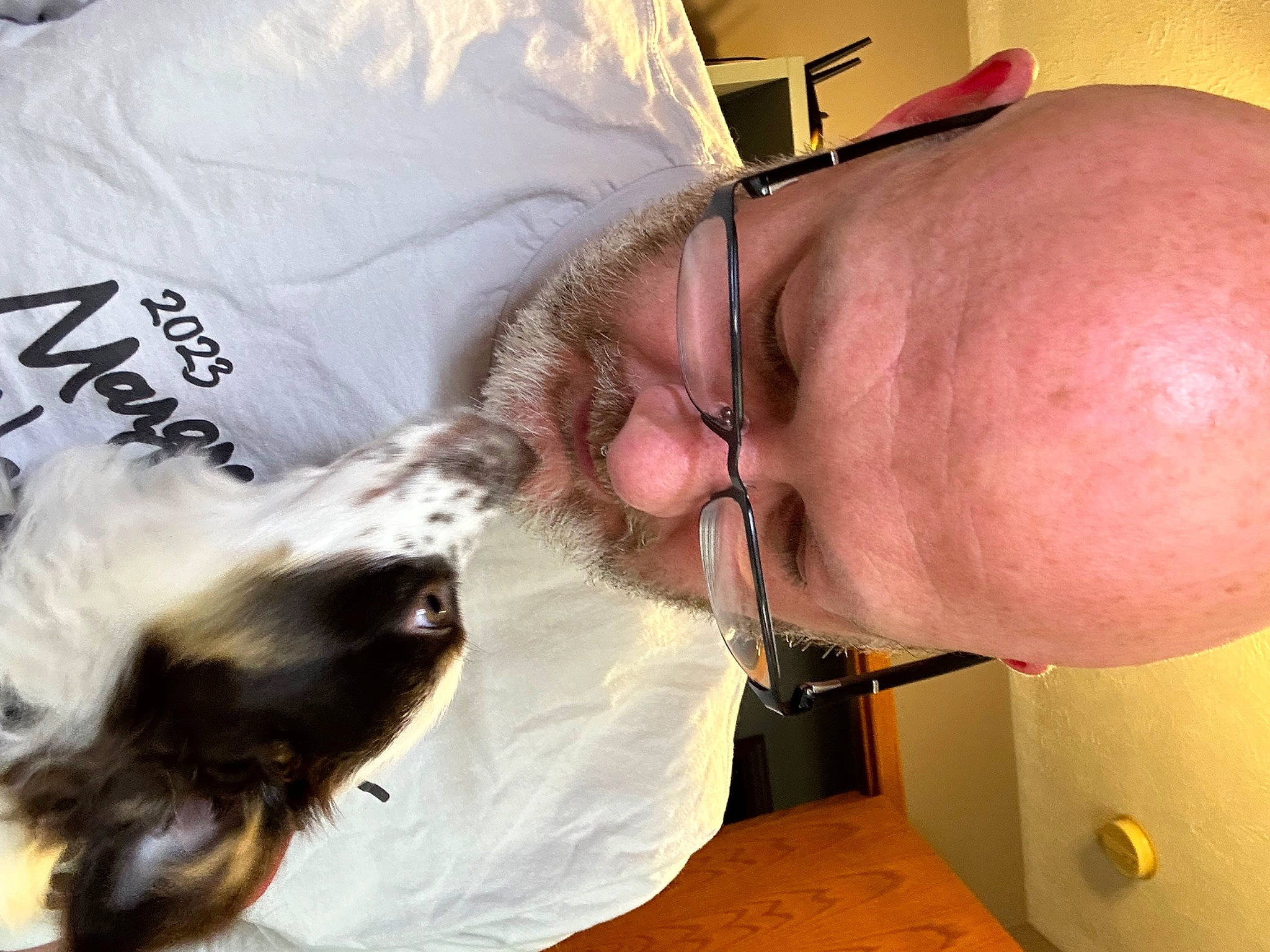 Artemis joined the competition — help win amazing prizes! abdomen, beard, cat, chest, comfort, companion_dog, domestic_short_haired_cat, ear, elbow, eyewear, facial_hair, felidae, flesh, fur, glasses, jaw, small_to_medium_sized_cats, tail, whiskers, wrist