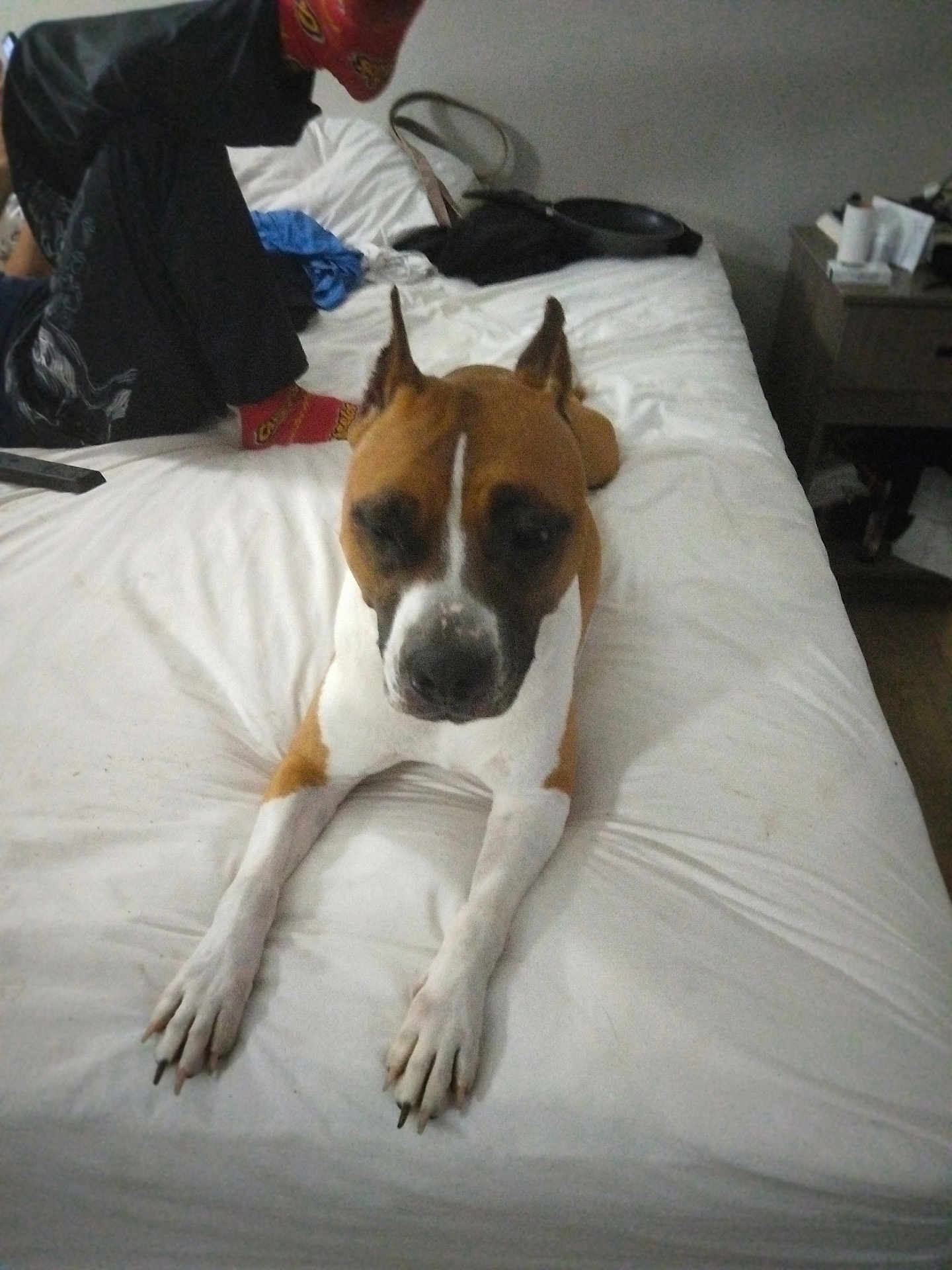 Ruby