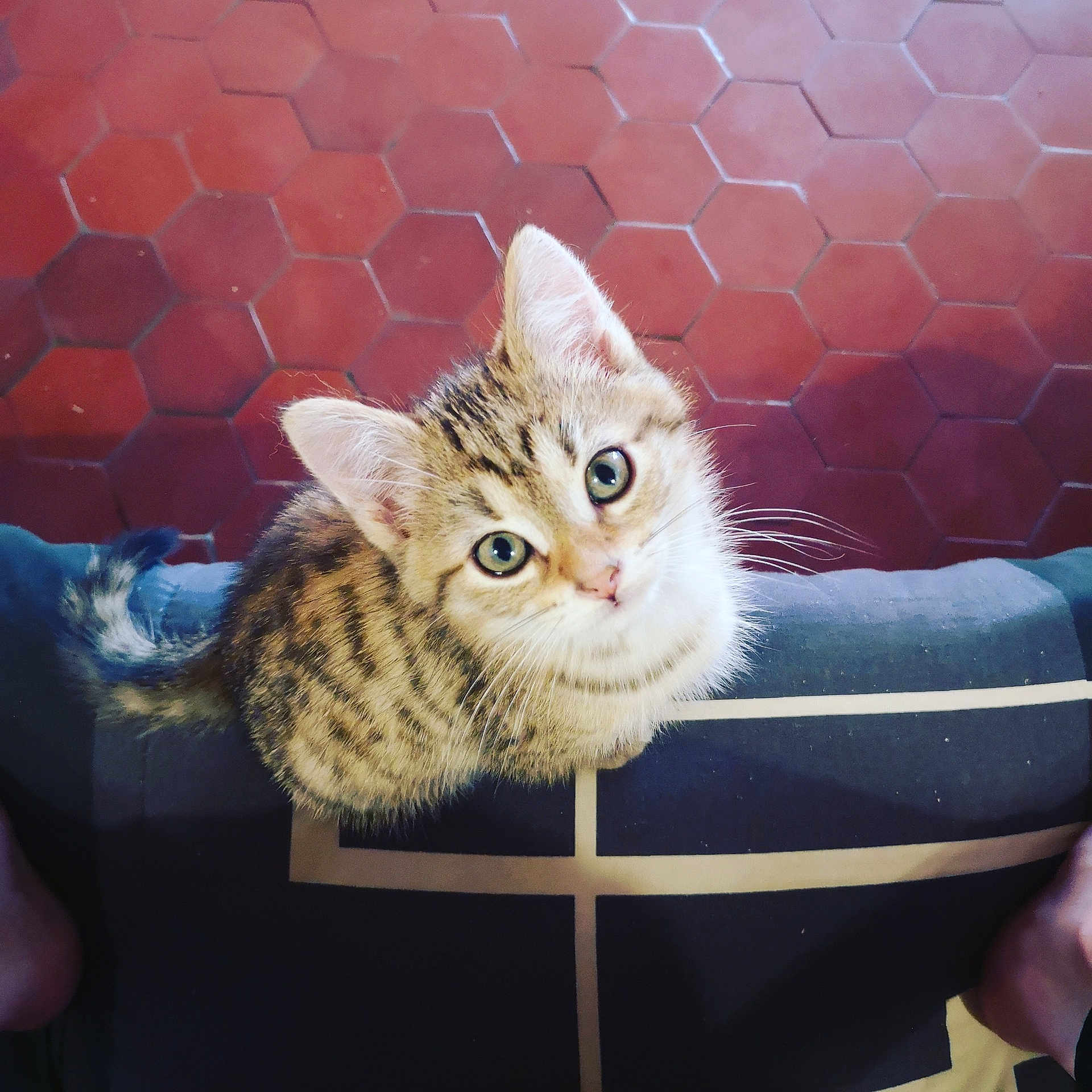 Pocket