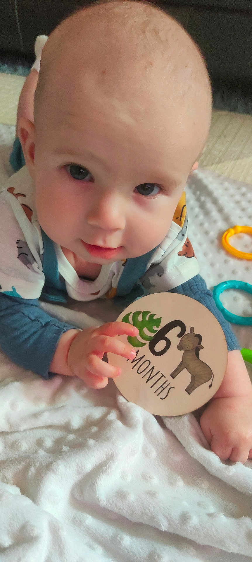 Arlo joined the competition — help win amazing prizes! baby, infant, milestone, 6_months, blanket, toy, colorful, face, eyes, hand, cute, child, lying, indoor, soft, clothing, zebra, leaf, play, curious