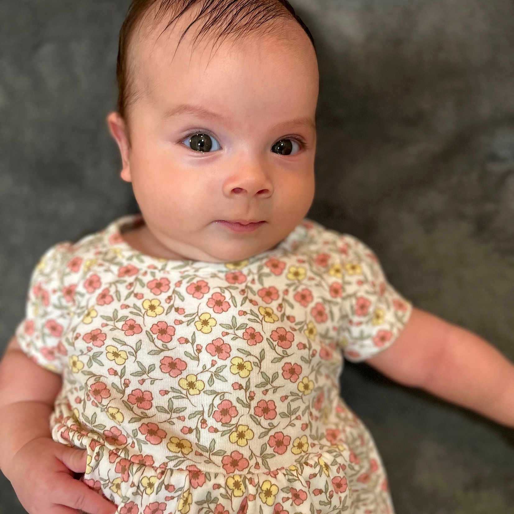Amelia