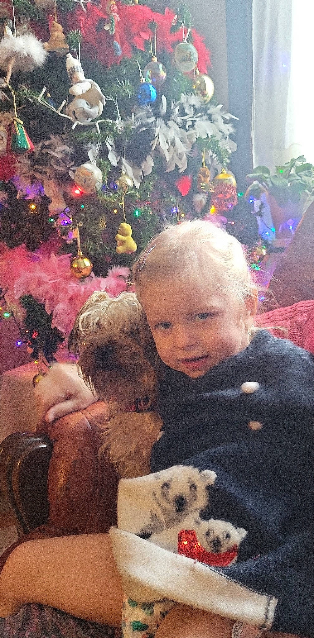 Candice participe au concours pour gagner de l'argent avec cette photo : carnivore, christmas, christmas_ornament, christmas_tree, companion_dog, dog, dog_breed, event, fawn, fun, happy, holiday, holiday_ornament, mammal, ornament, person, smile, toddler, toy_dog, tree