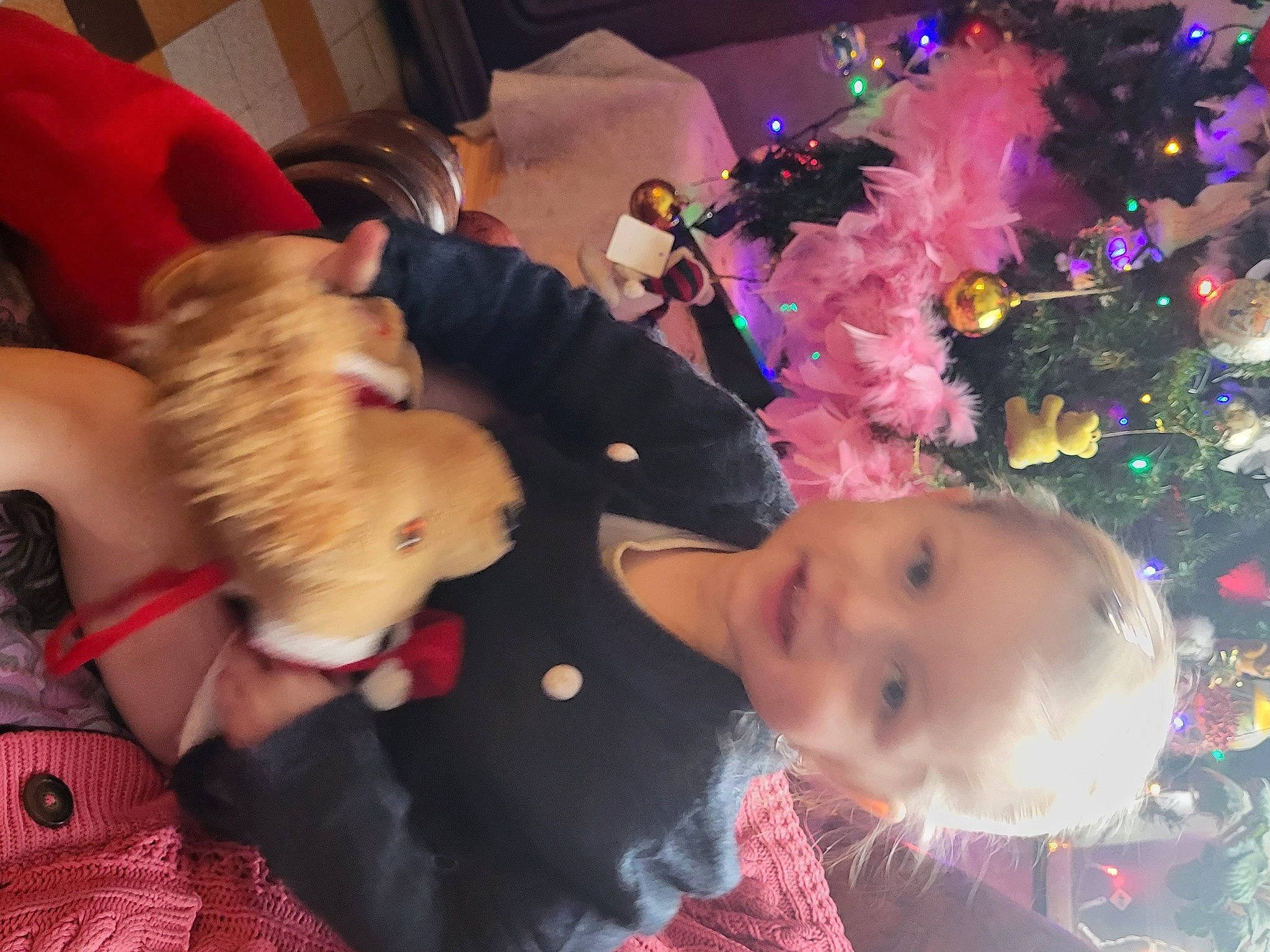 Candice a rejoint le concours — aidez-le/la à gagner de superbes lots ! baby, child, christmas, christmas_eve, christmas_ornament, christmas_tree, event, fir, fun, fur, happy, holiday, joy, lap, ornament, party, person, plant, room, stuffed_toy