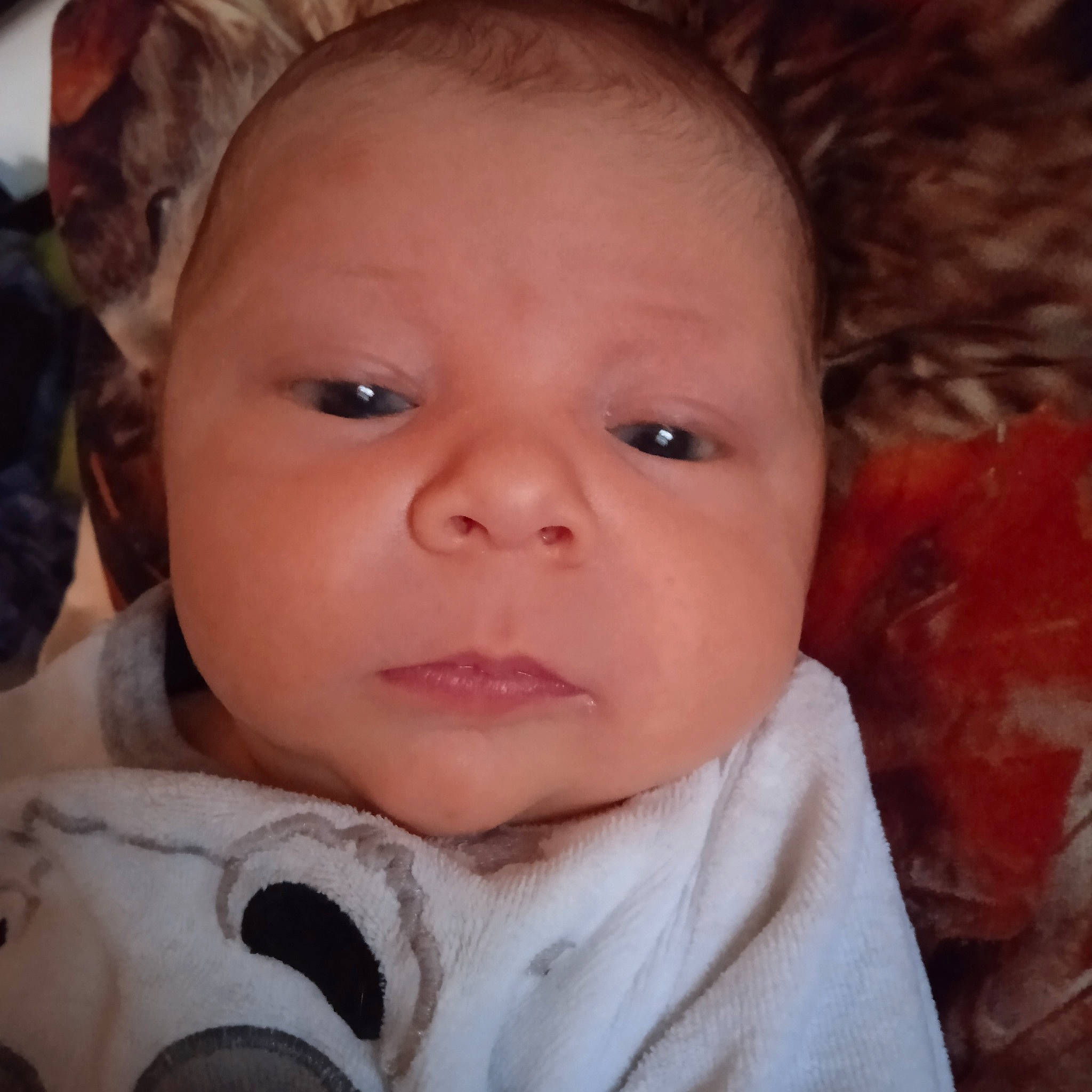 Diego participe au concours pour gagner de l'argent avec cette photo : baby, baby_toddler_clothing, cheek, chin, cool, ear, eye, eyebrow, eyelash, facial_expression, forehead, happy, head, iris, lip, mouth, nose, person, skin, smile