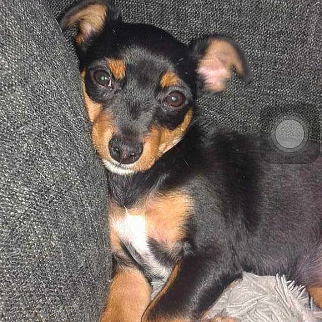 Billy