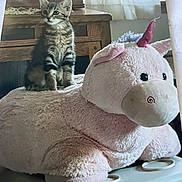 Violet joined the competition — help win amazing prizes! kitten, cat, tabby, striped_fur, blue_eyes, sitting, plush_toy, unicorn, pink, stuffed_animal, indoor, home, furniture, window, curtain, sunlight, cozy, cute, portrait, playful