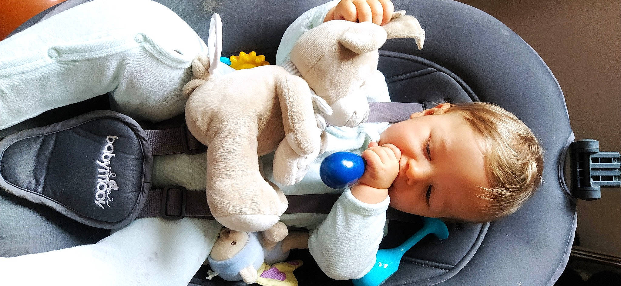 Sören a rejoint le concours — aidez-le/la à gagner de superbes lots ! baby, baby_products, baby_safety, baby_sleeping, comfort, facial_expression, finger, gesture, hand, mammal, nail, nose, organ, person, product, skin, snapshot, thumb, toddler, toy
