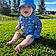 Maven