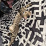 Cupcake joined the competition — help win amazing prizes! cat, tabby, sleeping, stretched_out, bed, blanket, patterned, indoor, feline, fur, paw, ears, whiskers, collar, cozy, relaxed, pet, resting, striped, domestic_animal