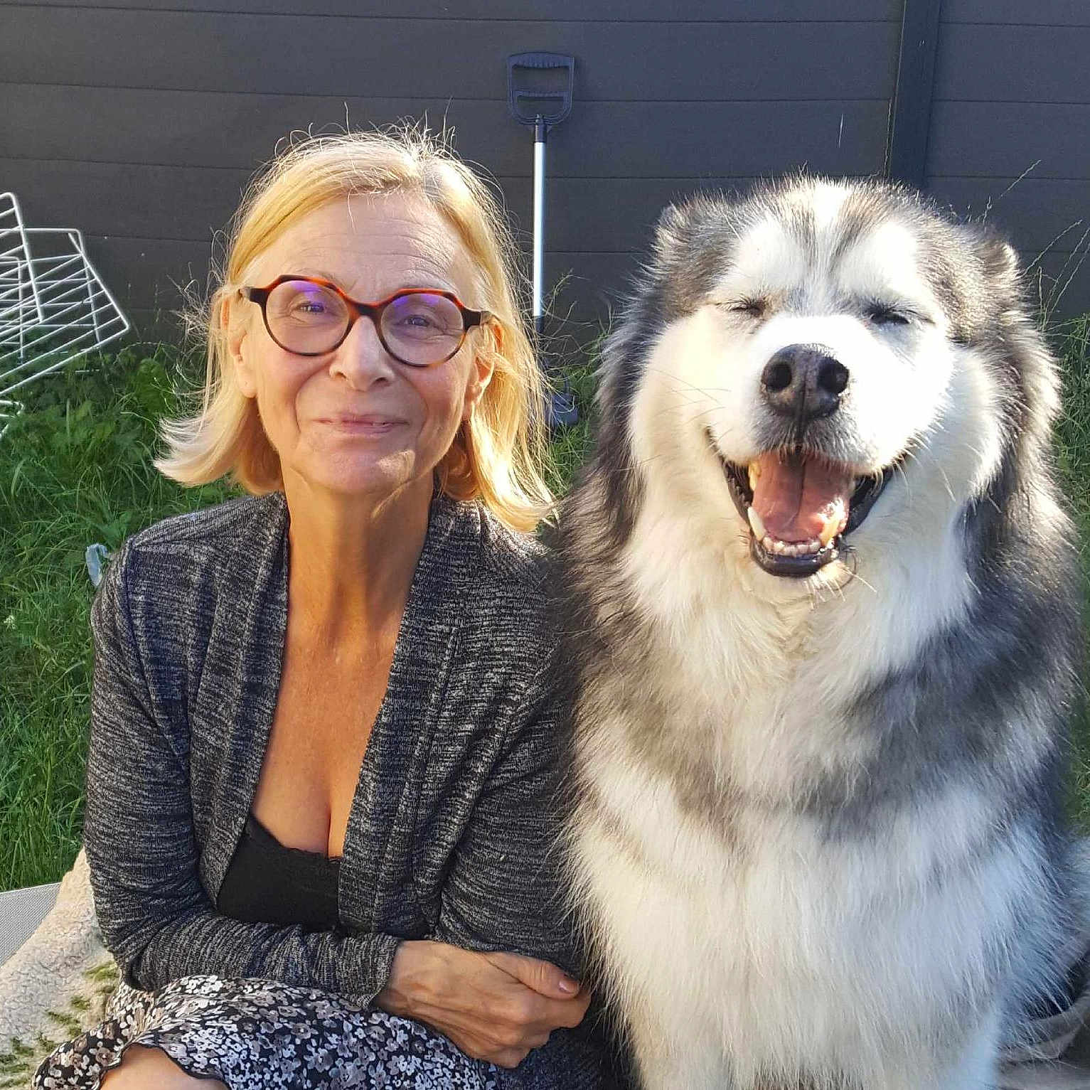 Jencko a rejoint le concours — aidez-le/la à gagner de superbes lots ! animal, casual_clothing, companionship, daylight, dog, fence, fluffy_dog, friendship, glasses, grass, happy, nature, outdoor, person, pet, portrait, relaxation, sitting, smiling, woman