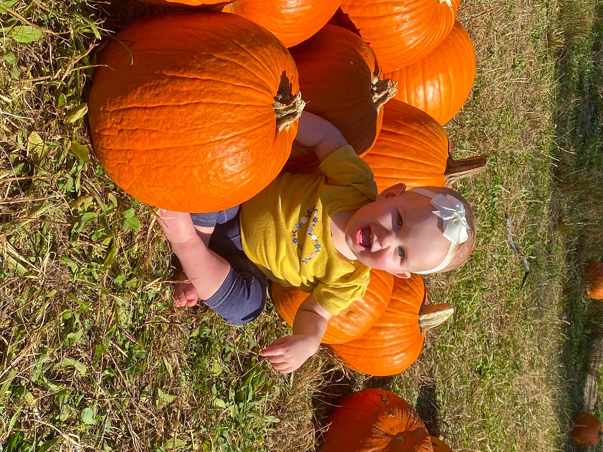 Arianna joined the competition — help win amazing prizes! calabaza, child, cucurbita, fun, gourd, grass, happy, leaf, leisure, local_food, natural_foods, orange, people_in_nature, person, plant, pumpkin, squash, sunglasses, toddler, vegetable