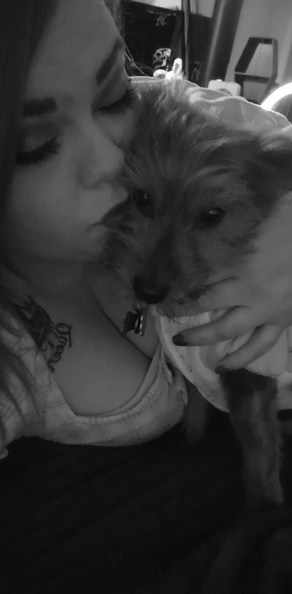 Jax is registered to the contest to win money with this photo: black_and_white, carnivore, companion_dog, dog, dog_breed, ear, eyelash, fawn, flash_photography, fur, gesture, happy, jaw, monochrome, monochrome_photography, nose, smile, snout, style, toy_dog