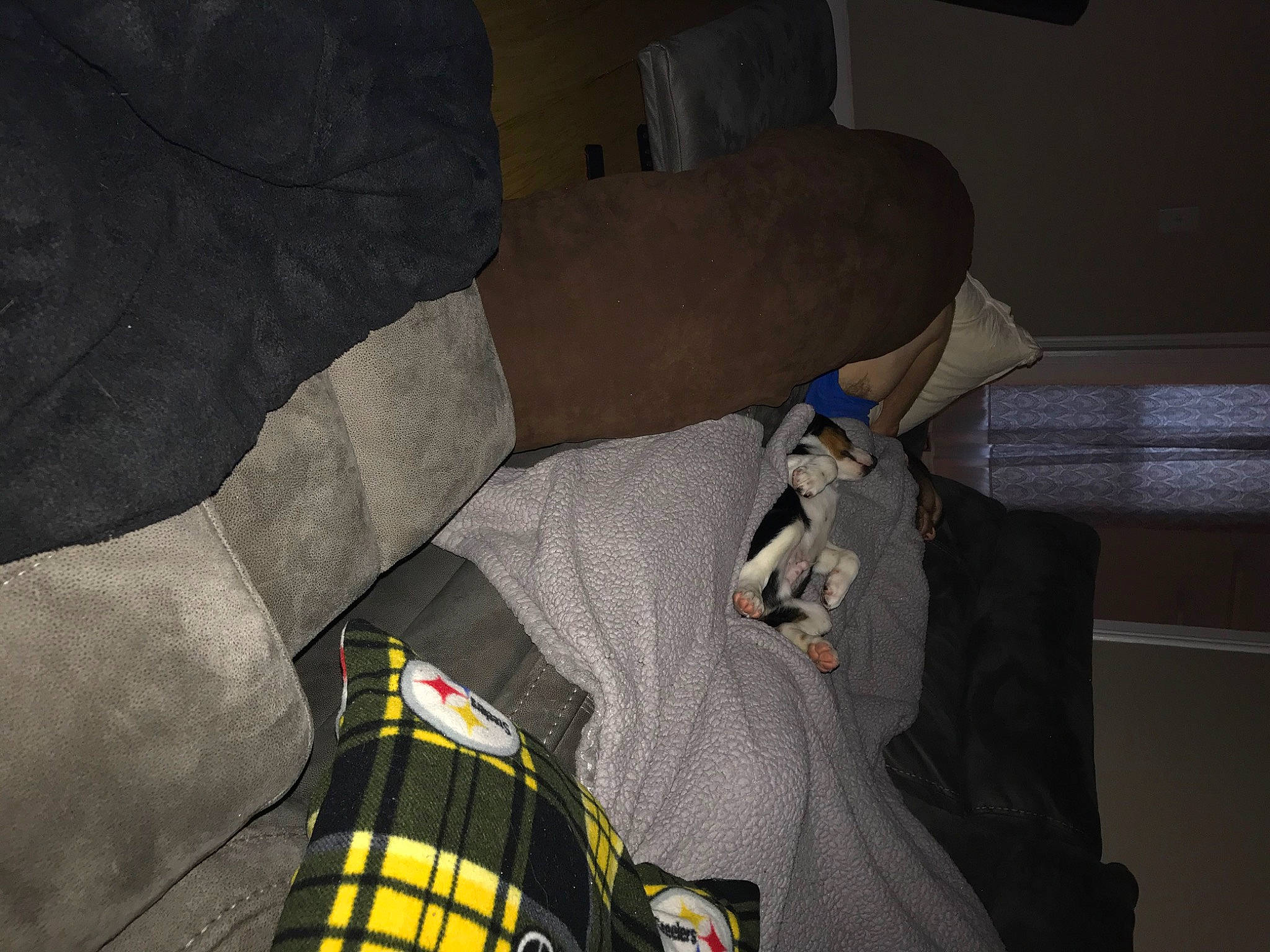 Otis is registered to the contest to win money with this photo: backpack, bag, carmine, comfort, denim, emergency_service, fashion_accessory, firefighter, glove, helmet, high_visibility_clothing, human_leg, jacket, linens, luggage_and_bags, personal_protective_equipment, sleeve, sportswear, t_shirt, workwear