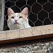 Bidibule a rejoint le concours — aidez-le/la à gagner de superbes lots !