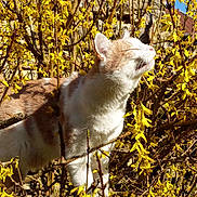 Homaley a rejoint le concours — aidez-le/la à gagner de superbes lots !