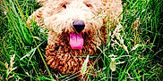 Berkley joined the competition — help win amazing prizes!