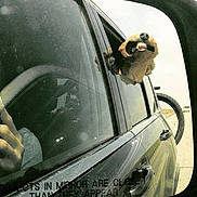 Berkley is registered to the contest to win money with this photo: