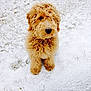 Berkley is registered to the contest to win money with this photo: