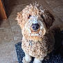 Berkley is registered to the contest to win money with this photo: