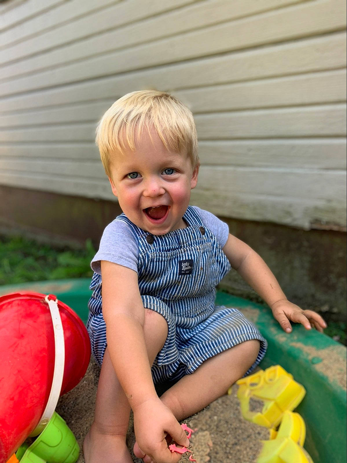 Bear joined the competition — help win amazing prizes! baby, baby_toddler_clothing, ball, child, electric_blue, fun, grass, happy, joy, leisure, pattern, people_in_nature, person, play, recreation, shorts, sitting, smile, summer, t_shirt