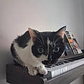 Maëlys P.