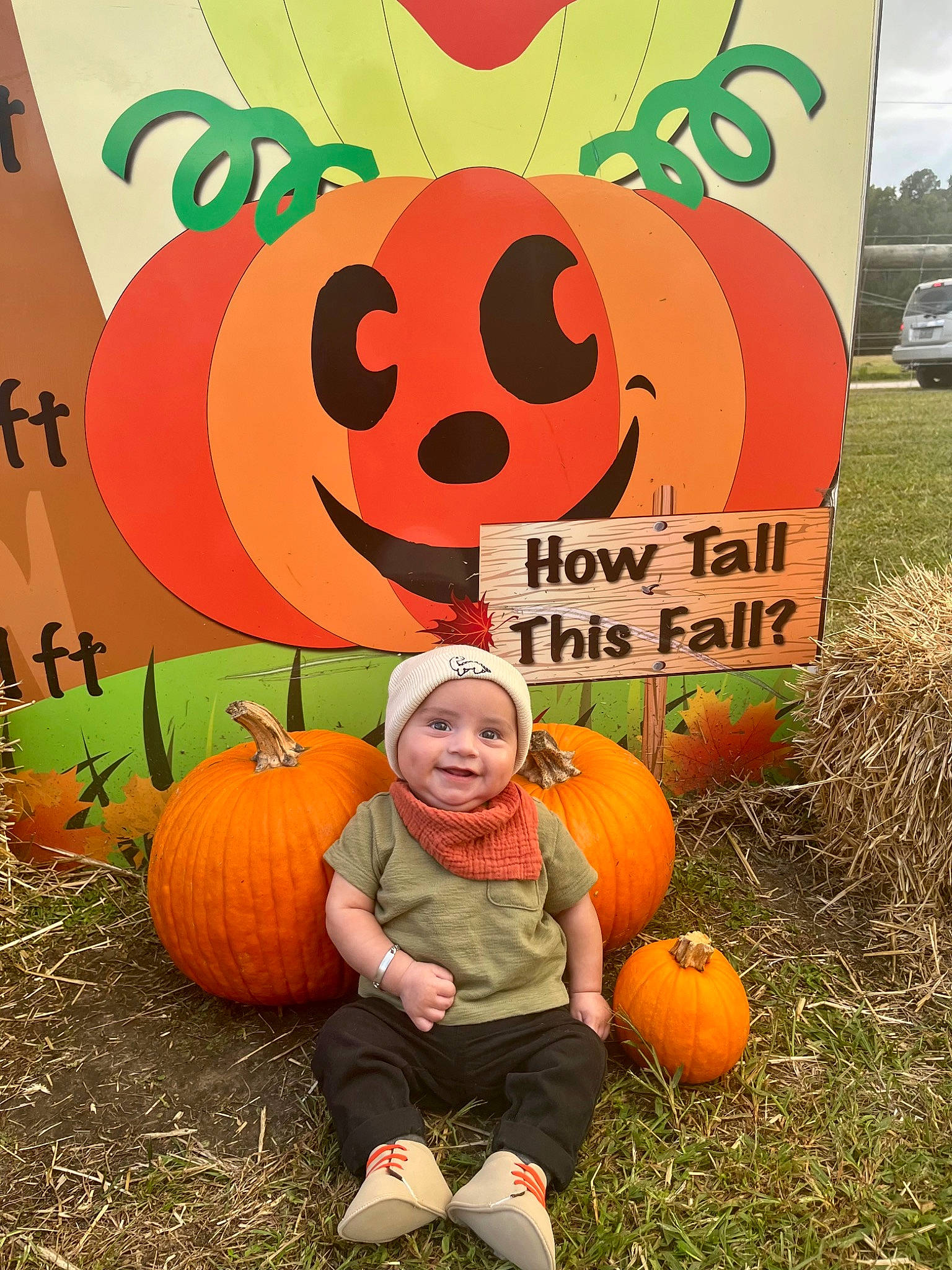 Gabriel joined the competition — help win amazing prizes! adaptation, calabaza, cucurbita, facial_expression, gourd, grass, green, happy, headwear, joy, mammal, natural_foods, nature, orange, person, plant, pumpkin, smile, squash, vegetable