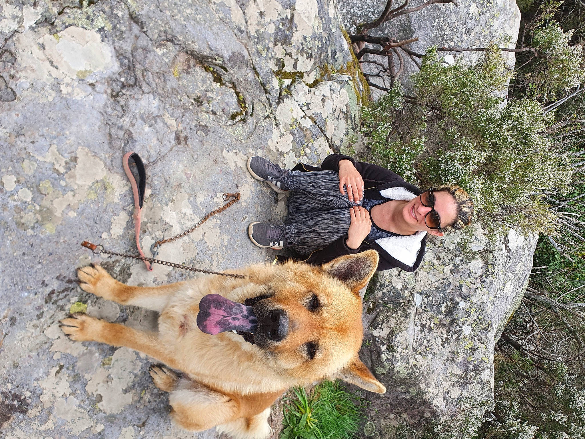 Eden a rejoint le concours — aidez-le/la à gagner de superbes lots ! bedrock, carnivore, companion_dog, dog, dog_breed, dog_supply, fawn, fun, fur, hat, non_sporting_group, plant, recreation, rock, smile, spitz, sunglasses, tree