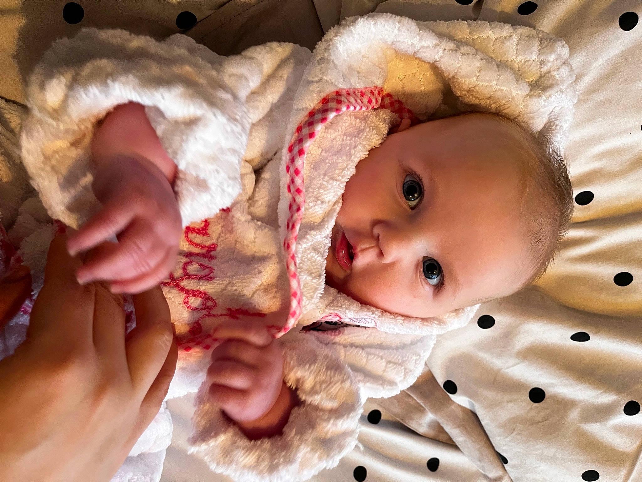 Margot is registered to the contest to win money with this photo: baby, baby_products, baby_toddler_clothing, cheek, child, comfort, eye, face, happy, head, headgear, iris, linens, lip, mouth, nose, person, skin, smile, textile