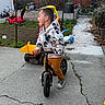 bike, boy, casual_clothing, child, concrete, daylight, fence, garden, grass, hoodie, mickey_mouse, outdoor, pathway, plants, play, side_view, smile, sneakers, toy_car, yard