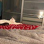 bedroom, blanket, cat, cozy, furniture, furry, heart_pattern, home, indoor, lamp, lying_down, pet, red_blanket, reflection, relaxed, remote_control, sleepy, soft_texture, wardrobe, white_cat