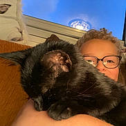 Tip-Ex a rejoint le concours — aidez-le/la à gagner de superbes lots ! person, cat, black_cat, glasses, couch, orange_couch, window, blue_sky, pillow, dog_image, indoor, curly_hair, cozy, pet, sleeping_cat, close_up, furniture, relaxation, home, portrait