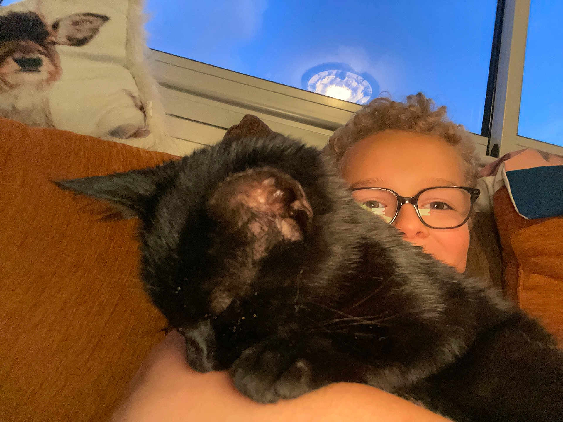 Tip-Ex a rejoint le concours — aidez-le/la à gagner de superbes lots ! person, cat, black_cat, glasses, couch, orange_couch, window, blue_sky, pillow, dog_image, indoor, curly_hair, cozy, pet, sleeping_cat, close_up, furniture, relaxation, home, portrait