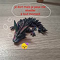 Petit L.