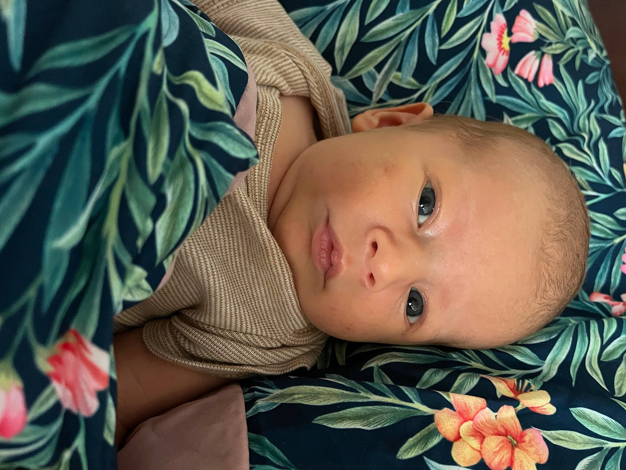 Kayne is registered to the contest to win money with this photo: arm, baby, cheek, eye, eyelash, face, grass, hand, head, human_body, iris, leaf, lip, nose, person, plant, skin, textile, toddler, tree